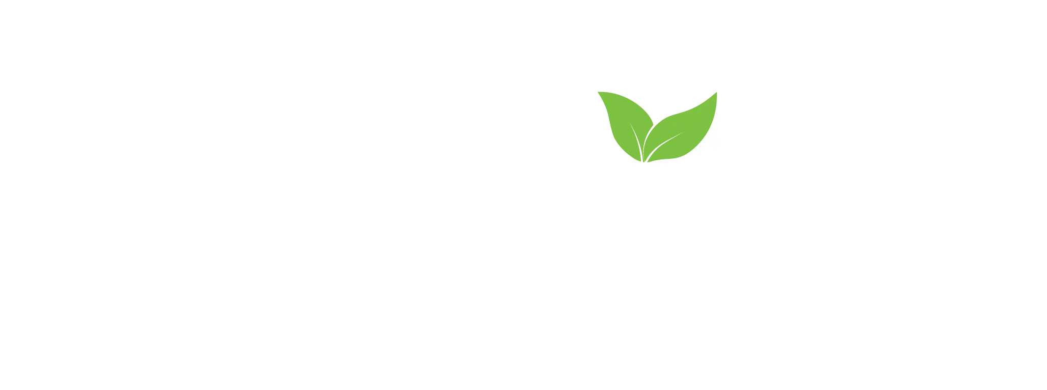 Pillen Group Leaf Sustainable Pillen Group Leaf Sustainable